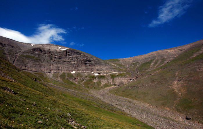 Grizzly Moth Site